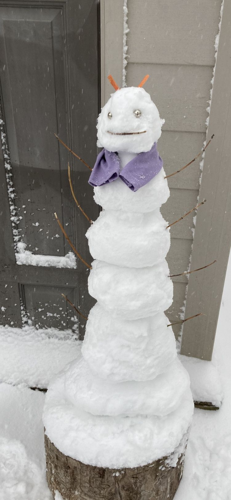 パロスパークのパロスサウスミドルスクールの7年生であるSlaterW。、12歳のやせっぽちの雪だるま。