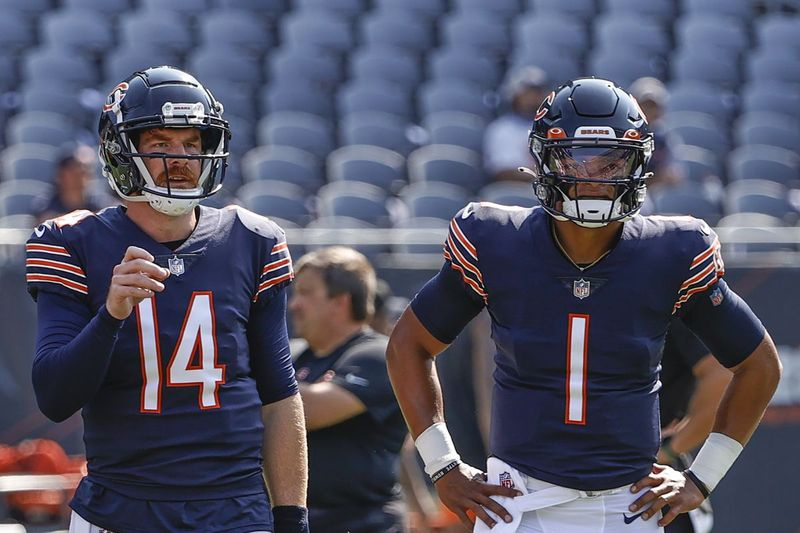 Justin Fields og Andy Dalton er hver især startet for Bears denne sæson.