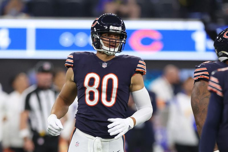 Bears tight end Jimmy Graham hade ingen catch söndag.