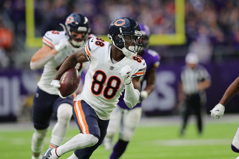 Bears de Chicago contre Vikings du Minnesota