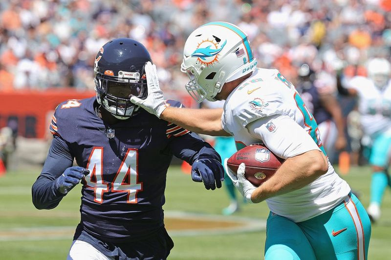 Bears-linebacker Alec Ogletree probeert zaterdag het strakke einde van Dolphins Mike Gesicki aan te pakken.