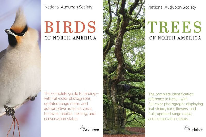 Las imágenes de portada de Birds of North America y Trees of North America de la National Audubon Society.