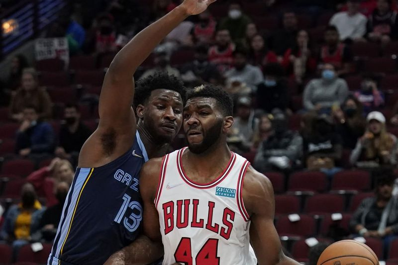 The Bulls