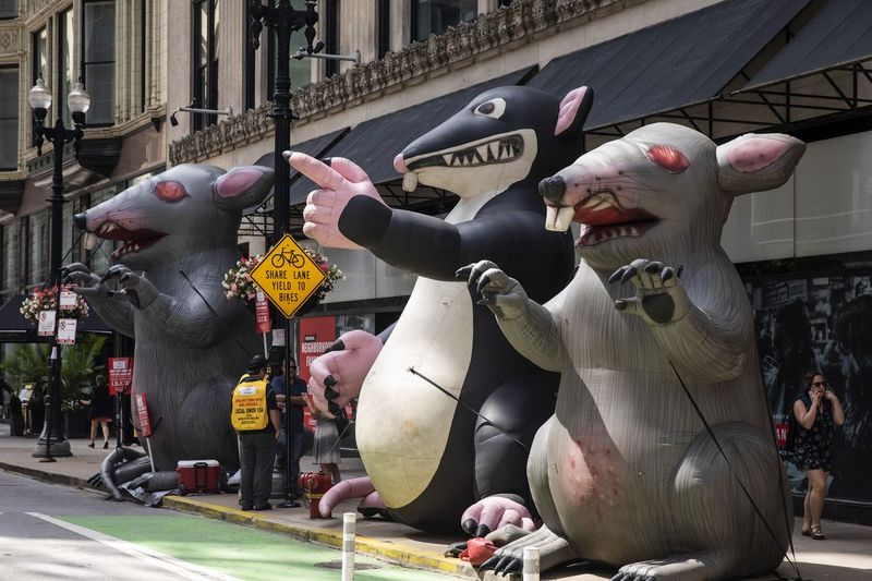 Rahvusvahelise Elektritöötajate Vennaskonna 2019. aasta piketi ajal ääristab Roti õhupallide park Washington Street in the Loop.