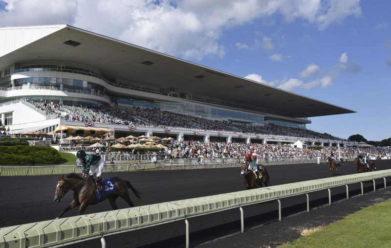 Les chevaux du Bruce D. Memorial Stakes passent la tribune de l
