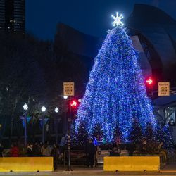 Chicagos officielle juletræ står oplyst i Millennium Park torsdag den 19. november 2020. Dette års trætændingsceremoni blev afholdt nærmest på grund af COVID-19-pandemien. Træet bliver i parken indtil 7. januar.