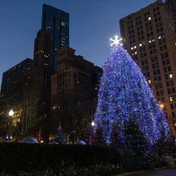 Chicagos officielle juletræ står oplyst i Millennium Park torsdag den 19. november 2020. Dette års trætændingsceremoni blev afholdt nærmest på grund af COVID-19-pandemien. Træet bliver i parken indtil 7. januar.