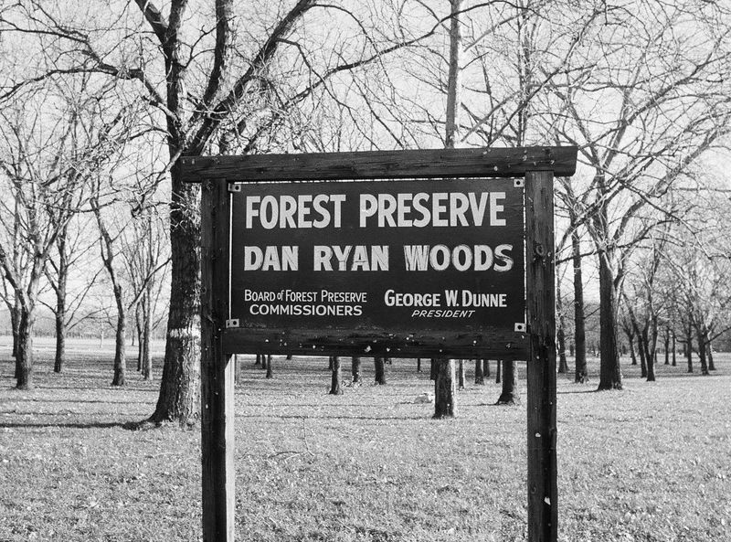Die Dan Ryan Woods, Teil der Cook County Forest Preserves, erstrecken sich von der 83rd Street nach Süden bis etwa zur 93rd Street, zwischen der Western Avenue und der Damen Avenue. | Dateifoto