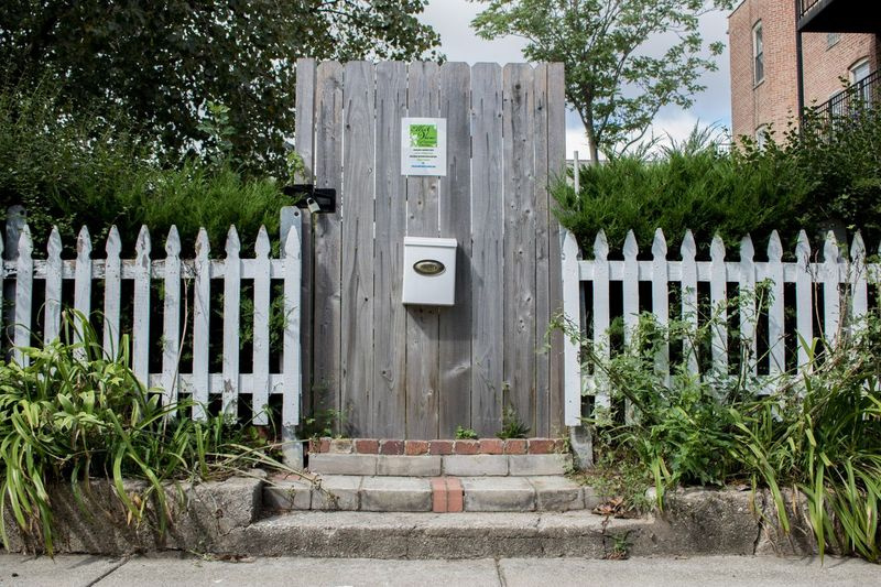 Ellis View Community Garden in Woodlawn, auf einem Grundstück, das im Rahmen des Large Lot Program erworben wurde. | Manny Ramos / Sun-Times