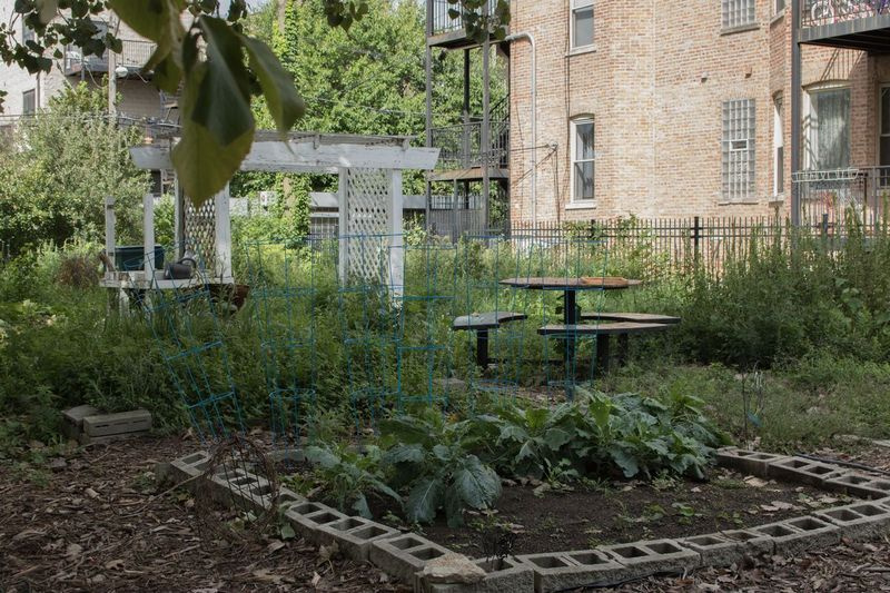 Der Ellis View Gemeinschaftsgarten in Woodlawn. | Manny Ramos / Sun-Times