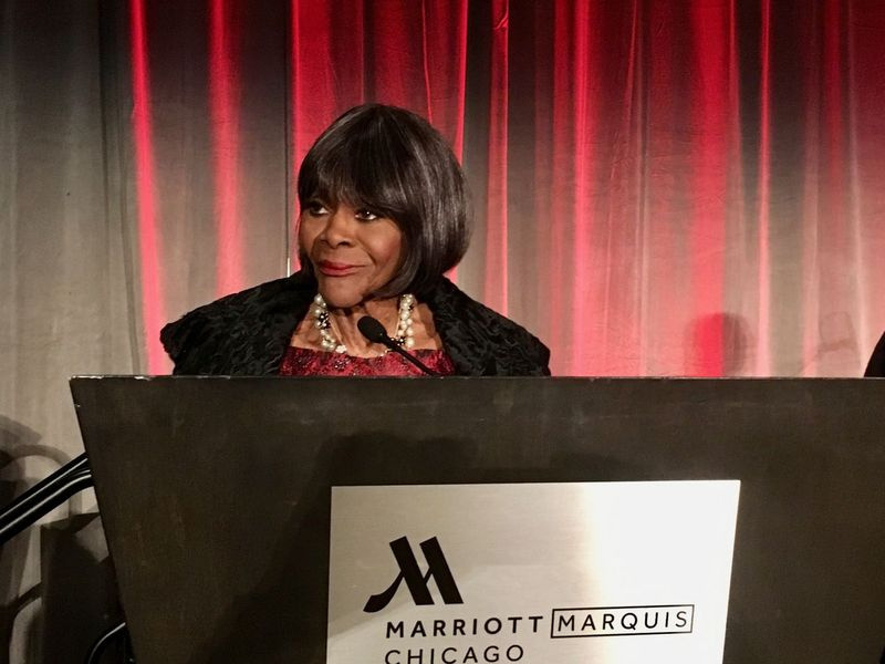 A grande atriz vencedora de prêmios Emmy e Tony, Cicely Tyson, compartilhou histórias de sua vida depois de receber um prêmio do Museu DuSable de História Afro-Americana por sua contribuição à história e cultura negra. O evento de 12 de outubro de 2018 no Near South Side Marriott Marquis foi uma de suas últimas visitas a Chicago.