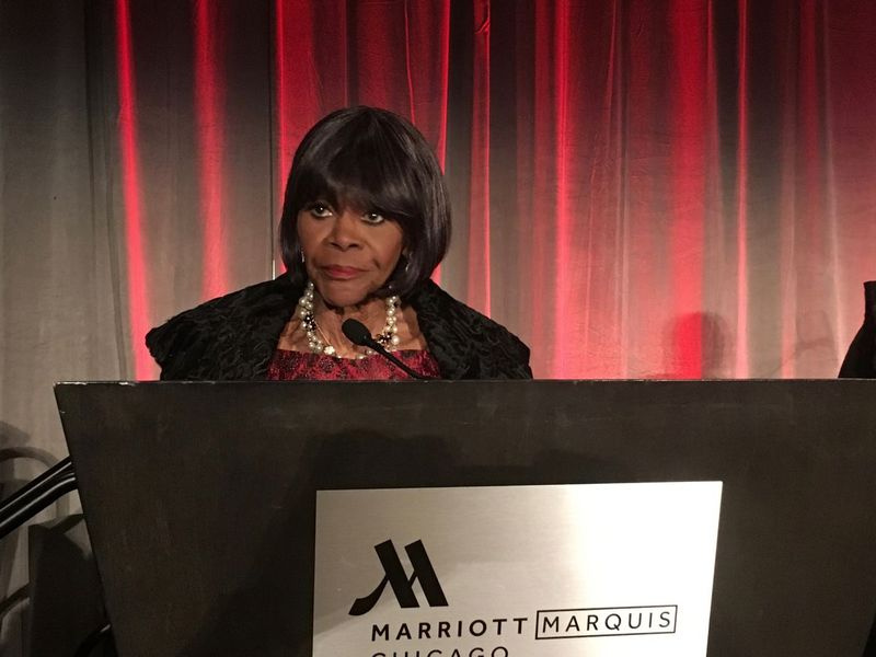 A atriz Cicely Tyson foi homenageada por sua contribuição à história e cultura negra pelo Museu DuSable de História Afro-Americana em 12 de outubro de 2018 no Near South Side Marriott Marquis. Foi uma de suas últimas visitas a Chicago.