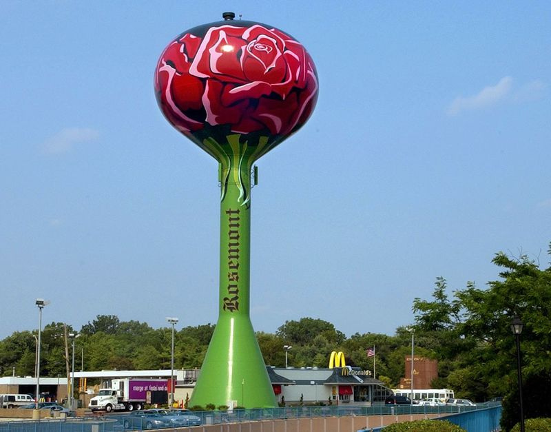 13 Delegationen, die im nächsten Jahr an der Democratic National Convention teilnehmen, werden in Hotels in Rosemont übernachten.