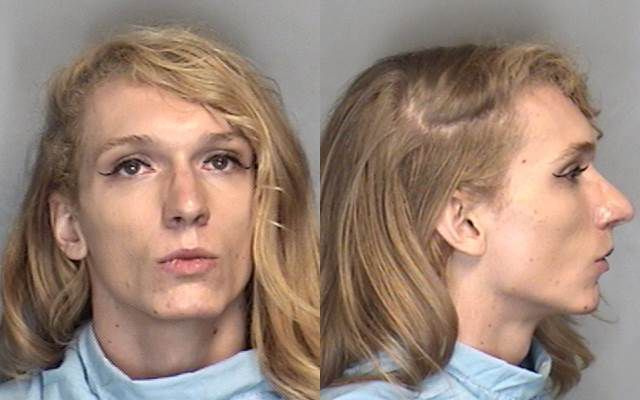 Andrew Martin Smith arrestbillede | Sheriffens kontor i Champaign County