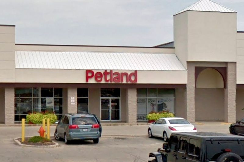 Ženska je obtožena kraje mladička 21. novembra 2020 na Petlandu, 720 S. Route 59 v Napervillu.
