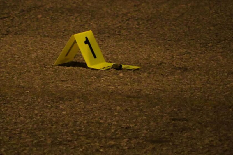  En mand blev skudt og dræbt i North Lawndale.
