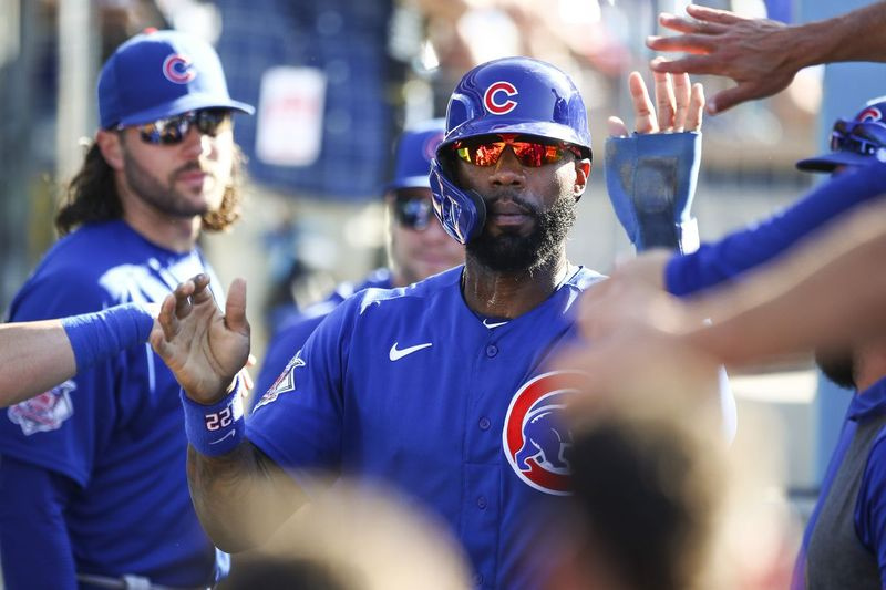 Chicago Cubs v Los Angeles Dodgers