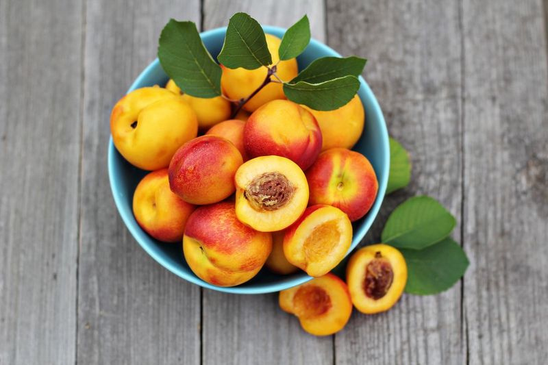 Frische Pfirsiche sind vom späten Frühjahr bis zum Spätsommer erhältlich, aber am besten sind sie im Juli und August.