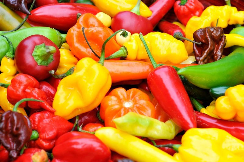 Elija chiles para darle sabor a su nutrición.