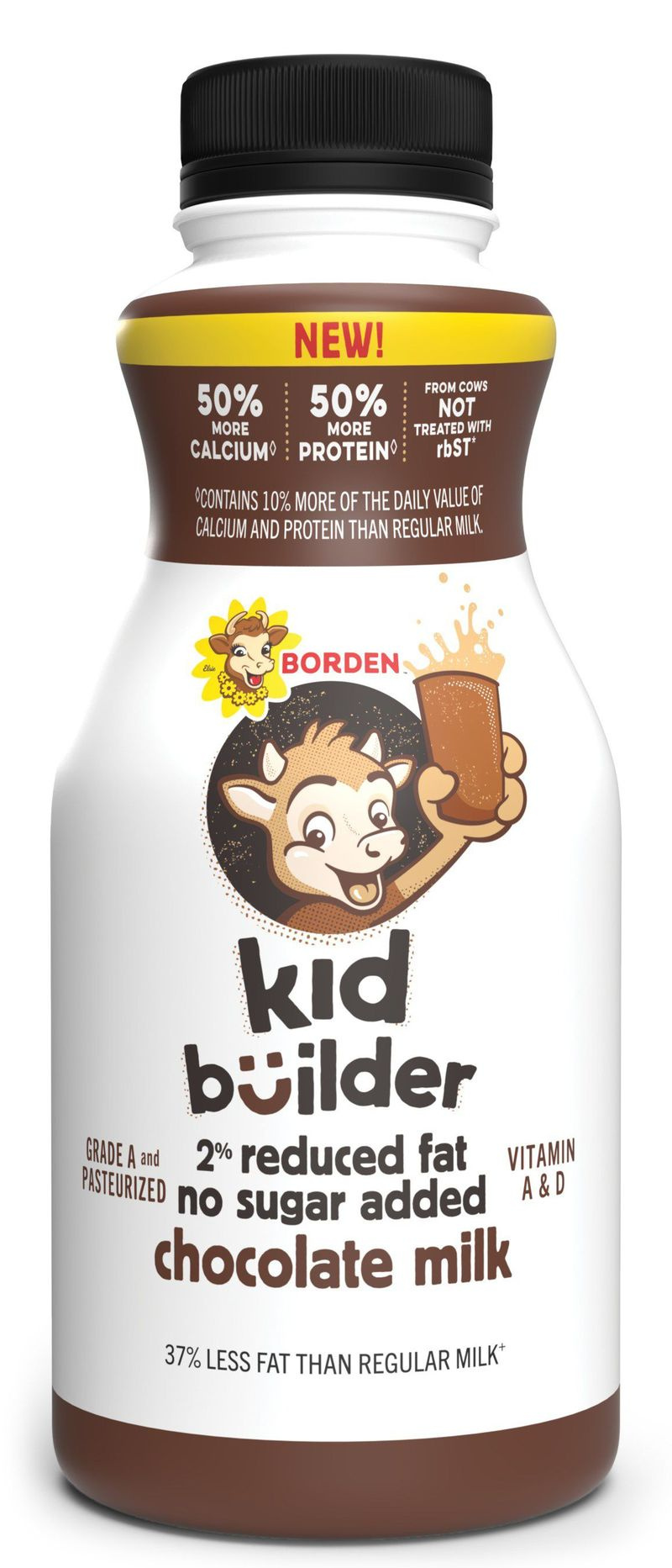 Siekdama paįvairinti savo pajamas, „Borden’s“ sukūrė naujų produktų, pavyzdžiui, daug baltymų turintį pieno gėrimą „Kid Builder“, taip pat „Gingerbread Egg Nog“ ir naujus šaldytuve laikomus padažus.