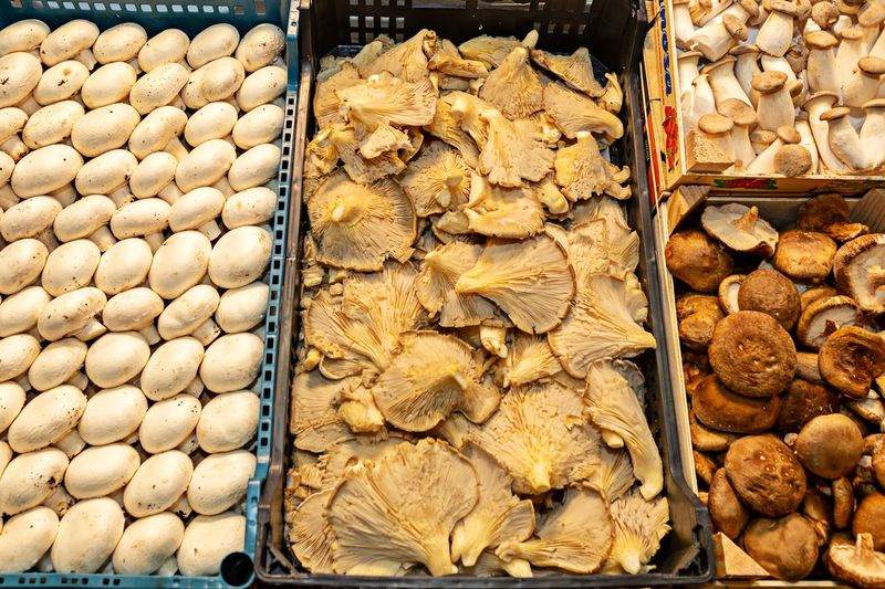 Les champignons regorgent de composés physiologiquement bénéfiques.