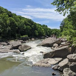 Les rapides Wildcat sur la rivière Vermilion.