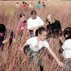 Jaime Jaster, 12, z Lake Villa, siahne po semenách divokých kvetov v roku 1999, keď ich zbiera na vedecký projekt na strednej škole Polumbi v Lake Villa. Študenti zbierali semená v prérii CLC Campus v Grayslake. Učiteľka prírodných vied 7. ročníka v Polumbi, pani Marcia Brown, povedala, že žiaci 7. ročníka zbierajú semená prérie, ktoré budú zaslané farmárovi v južnom Illinois. Semená použije na obnovu časti poľnohospodárskej pôdy pred riekou, aby zabránil erózii.
