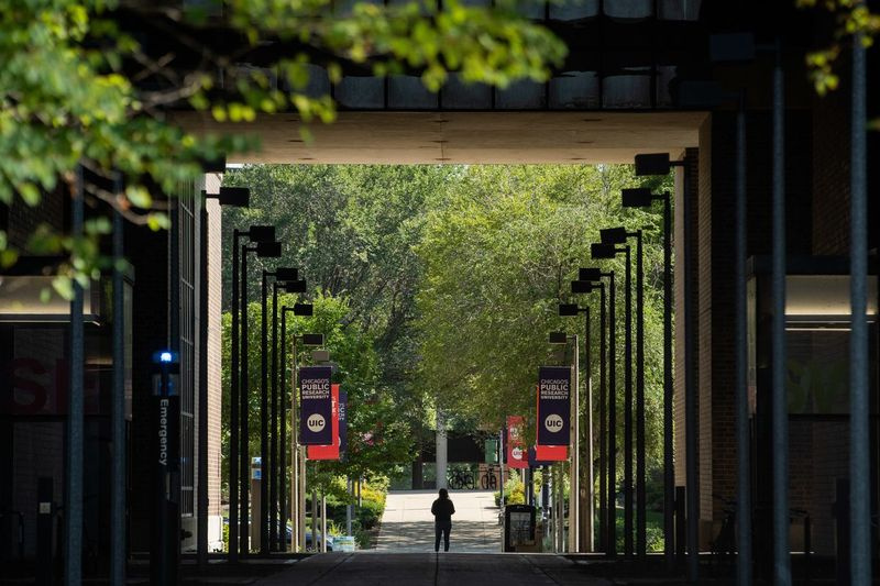 University of Illinois-Chicago odnotował swój szósty rok z rzędu rekordowych zapisów, z 33 518 studentami.