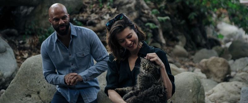 Common speelt een liefdesbelang voor een bijtende komiek (Mary Elizabeth Winstead) in All About Nina. | De boomgaard