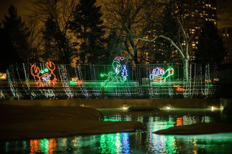 Tähistage sel aastal pühadehooaega Lincoln Parki loomaaia iga-aastases ZooLightsis.