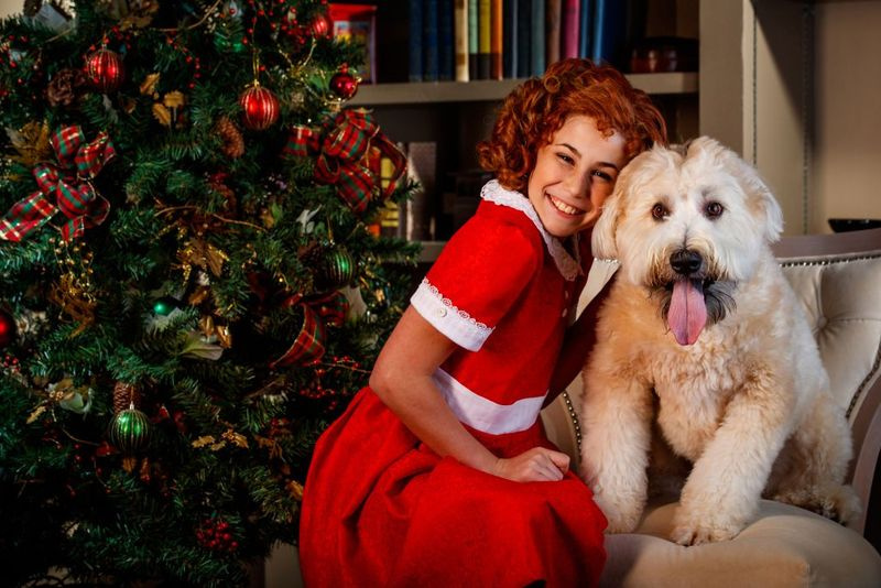 Η Emily Zimmerman υποδύεται τον ρόλο της Annie μαζί με τον Sweets the dog ως Sandy στο Θέατρο στη νέα παραγωγή του Center για την Annie Warbucks στο Munster της Ιντιάνα. | Φωτογραφία Guy Rhodes