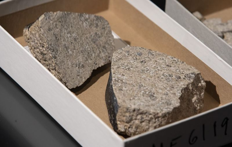 Vzorci meteorita, identificirani kot kos Veste, najsvetlejšega asteroida, vidnega z Zemlje, v muzeju Field. Sreda, 30. junija 2021.