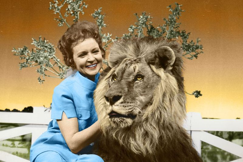 Această imagine colorată publicată de Margate And Chandler, Inc. o înfățișează pe actrița și activista pentru animale Betty White cu un leu din seria ei din anii 1970 The Pet Set.