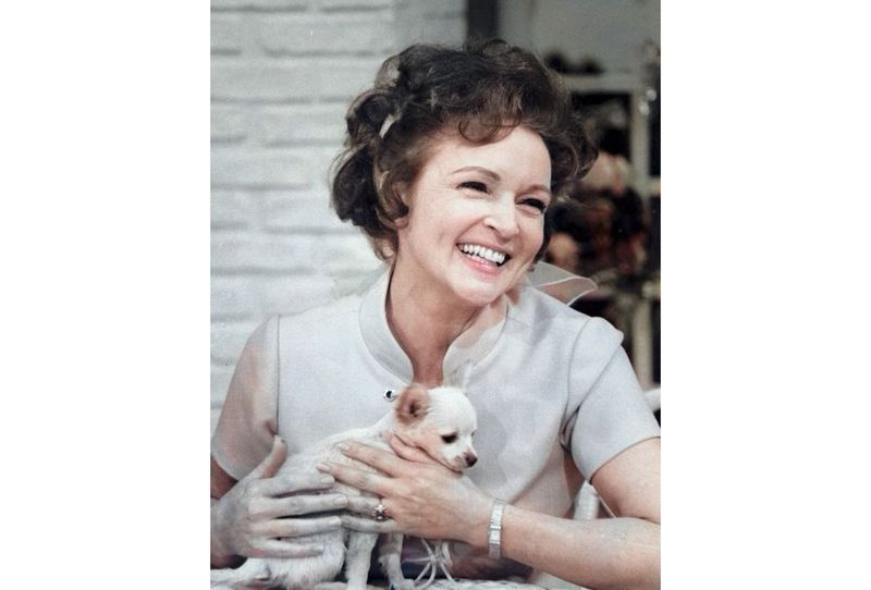 Actrița și activista pentru animale Betty White este prezentată cu un cățeluș din seria ei din anii 1970 The Pet Set. Seria restaurată de 39 de episoade, redenumită Betty White’s Pet Set, prezintă invitați celebri Mary Tyler Moore, Carol Burnett, Burt Reynolds, James Brolin și Della Reese.