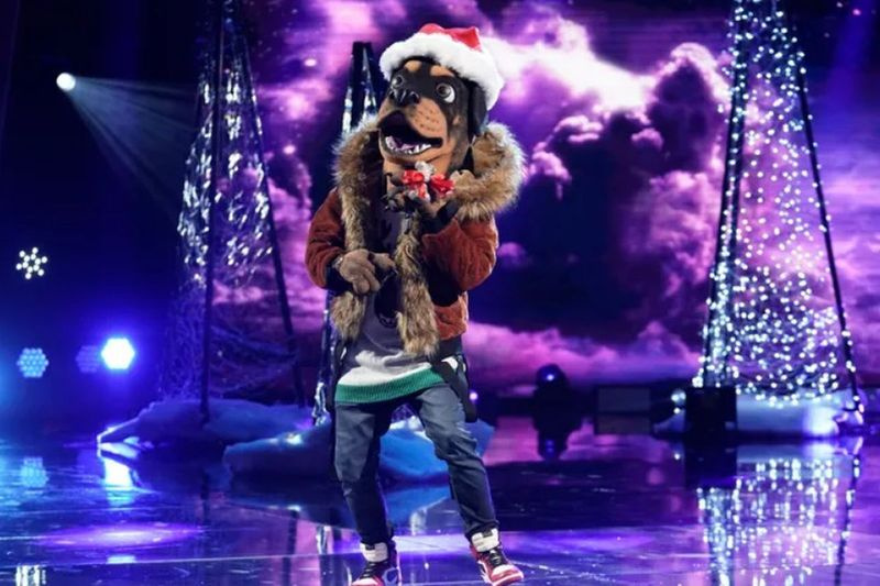 Rottweiler tekmuje v uspešnici Foxove serije The Masked Singer.