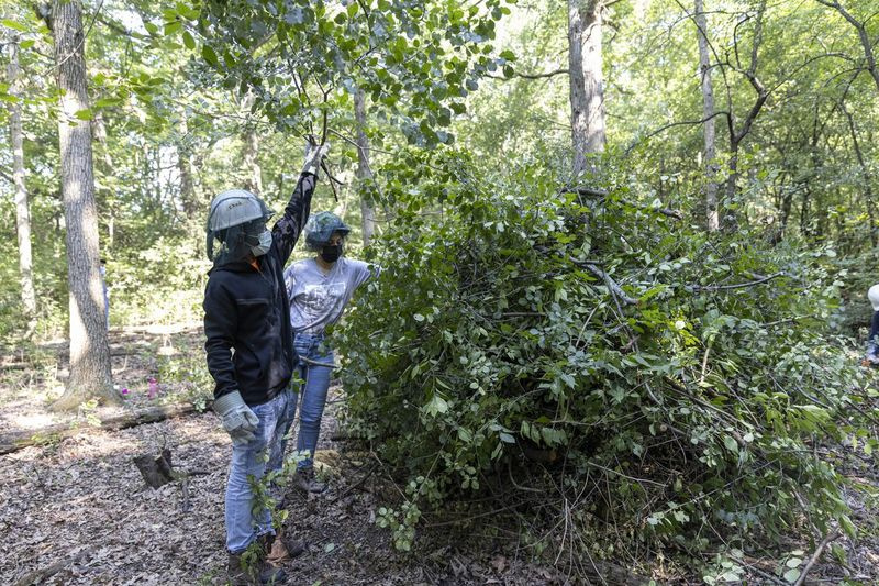 Členové posádky přidávají na hromadu řezaný kartáč, aby odstranili invazní druhy rostlin v Possum Hollow Woods.