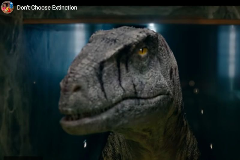 Míříte ke klimatické katastrofě, prohlašuje dinosaurus Rozvojového programu OSN. V doprovodné zprávě agentura OSN uvádí, že její výzkum ukazuje, že svět utrácí každý rok více než čtyřikrát více – asi 423 miliard dolarů – na dotování fosilních paliv pro spotřebitele než na pomoc chudým zemím při řešení globálního oteplování.