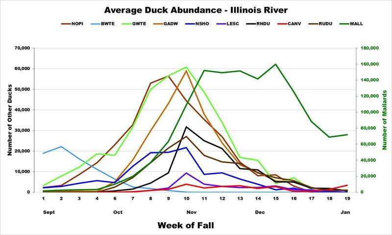 Tabuľka hojnosti kačíc pre údolie rieky Illinois. Poskytol Aaron Yetter/Illinois Natural History Survey
