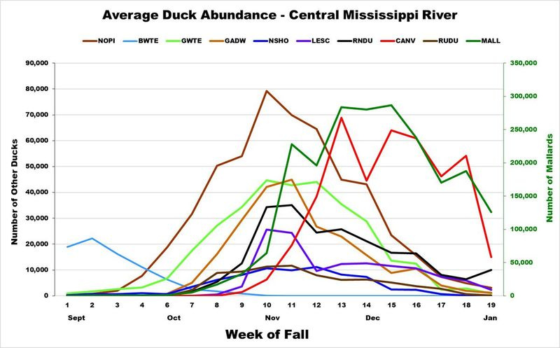 Tabuľka hojnosti kačíc pre centrálnu rieku Mississippi. Poskytol Aaron Yetter/Illinois Natural History Survey