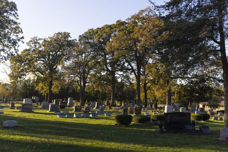 Glen Oaksi kalmistu Hillsides, kuhu maeti Aleksandri säilmed | Anthony Vazquez / Sun-Times