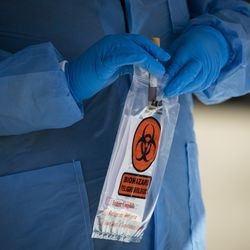 Les phlébotomistes de Simple Laboratories prélèvent du sang pour le test des anticorps anti-coronavirus et prélèvent des échantillons d