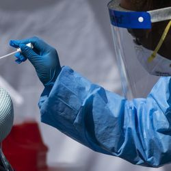 Le phlébotomiste Crystal Bovan, avec Simple Laboratories, prélève un échantillon d