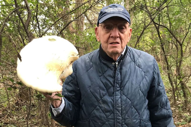 Frank Giacomino encontrou seu maior cogumelo ostra de olmo. Foto fornecida