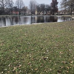 Auburn Park di Auburn Gresham. | Brian Rich/ Sun-Times.