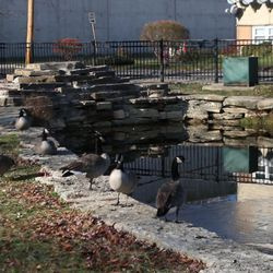 Auburn Park di Auburn Gresham. | Brian Rich/ Sun-Times