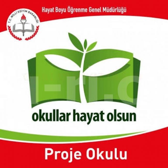 Proje okulu yönetmeliği yayımlandı