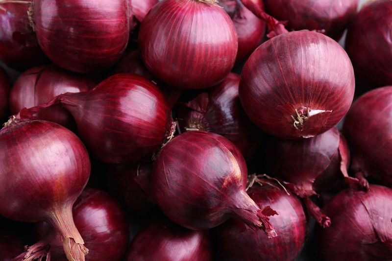 Rødløg fra en californisk producent bliver tilbagekaldt på grund af et salmonellaudbrud.