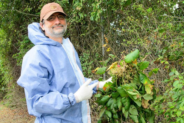 Il microbiologo John Jelesko ha imparato a non correre rischi quando tocca l