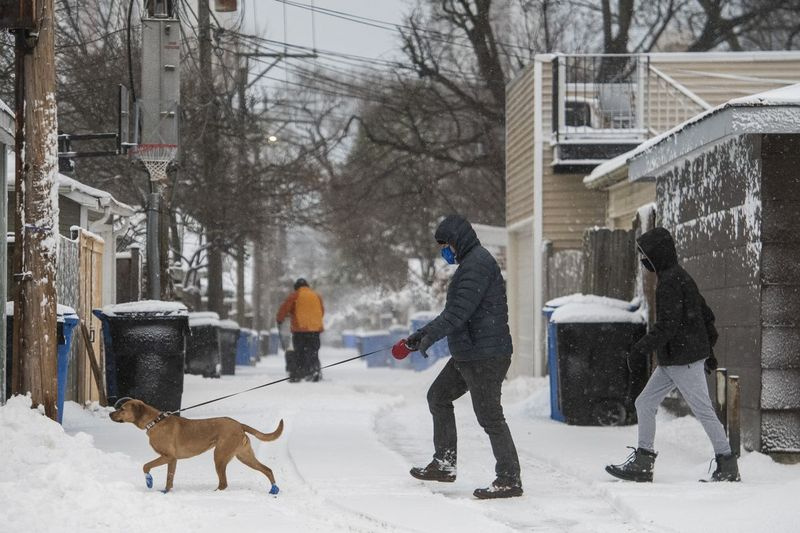 Et par går tur med deres hund langs fortovet i Edgewater, mens en vintersnestorm rammer Chicago tirsdag morgen den 26. januar 2021.