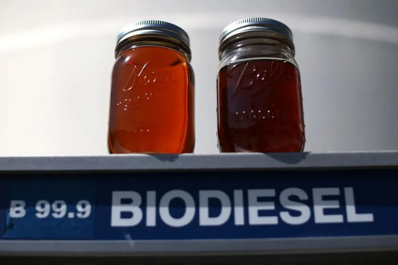   Prøver af biodiesel sidder på en pumpe hos et californisk biobrændstoffirma i 2013.
